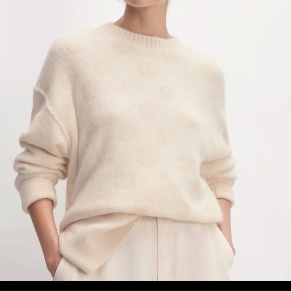 Everlane sweater The Alpaca Polka Dot Oversized Crew thick warm cozy fuzzy M